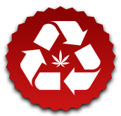 Ecológica Verde Logo